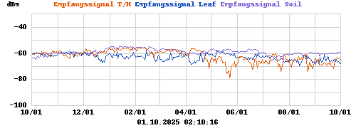 Empfangssignal T/H