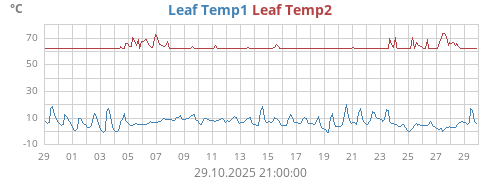 Leaf Temp1