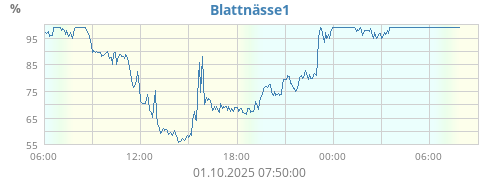 Blattnässe1