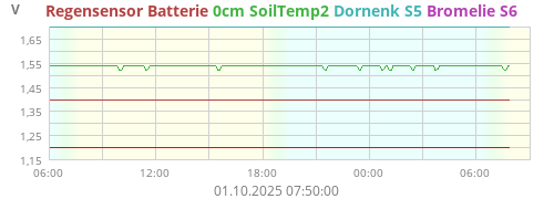 Dornenk S5