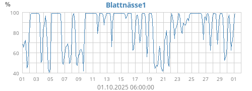 Blattnässe1
