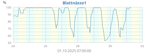 Blattnässe1