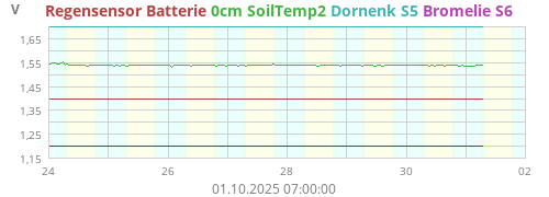 Dornenk S5