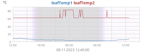 daytempleaf