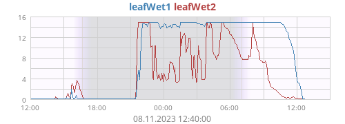 daywetleaf