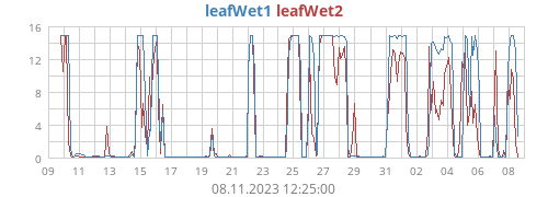 monthwetleaf