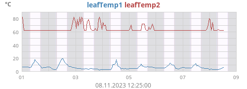 weektempleaf