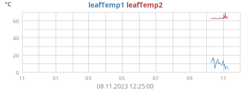 yeartempleaf
