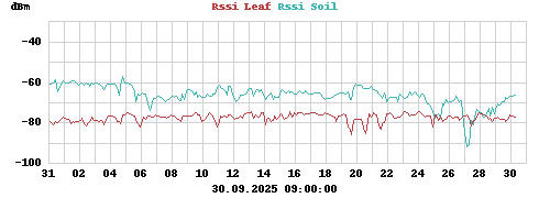 Rssi Leaf