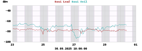Rssi Leaf