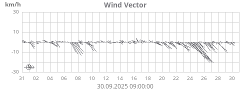 Wind Vector