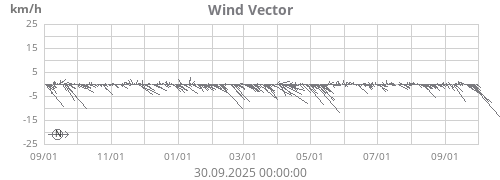 Wind Vector