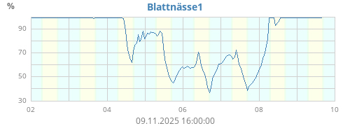 Blattnässe1